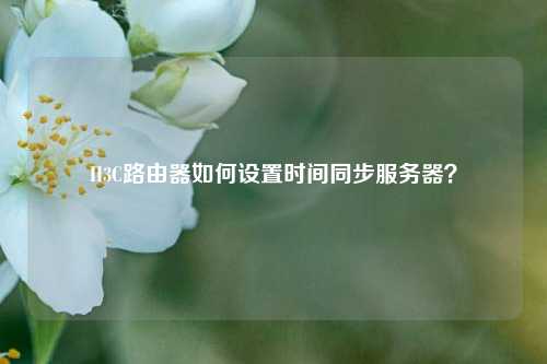H3C路由器如何設置時間同步服務器？