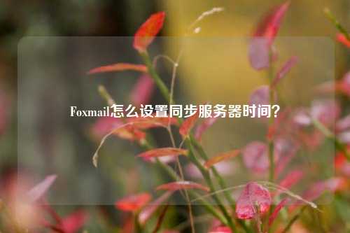 Foxmail怎么設置同步服務器時間？