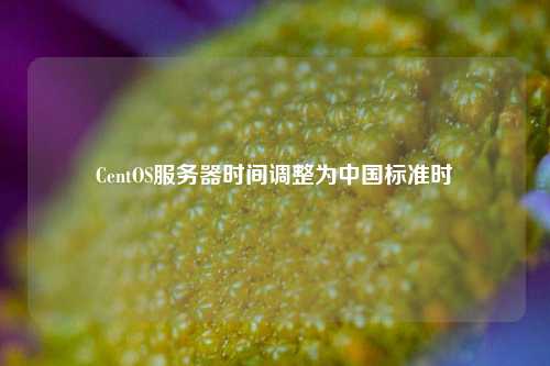 CentOS服務(wù)器時(shí)間調(diào)整為中國(guó)標(biāo)準(zhǔn)時(shí)