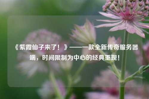《紫霞仙子來了！》——一款全新傳奇服務器端，時間限制為中心的經典重現！