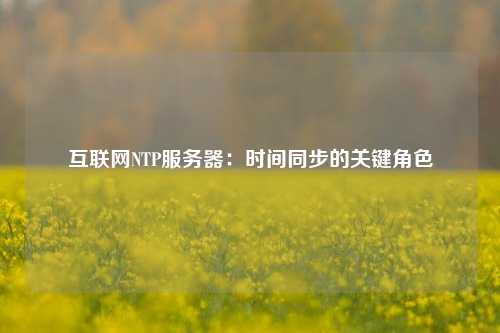 互聯(lián)網(wǎng)NTP服務器：時間同步的關(guān)鍵角色