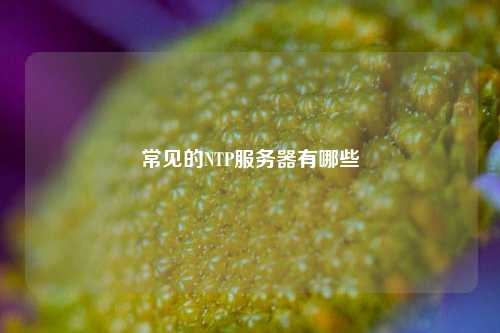 常見的NTP服務(wù)器有哪些