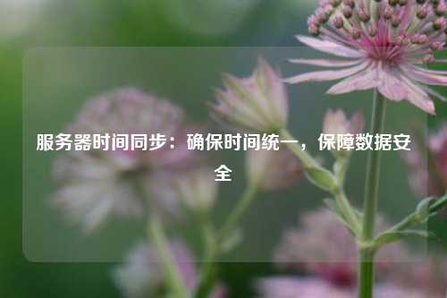 服務(wù)器時間同步：確保時間統(tǒng)一，保障數(shù)據(jù)安全
