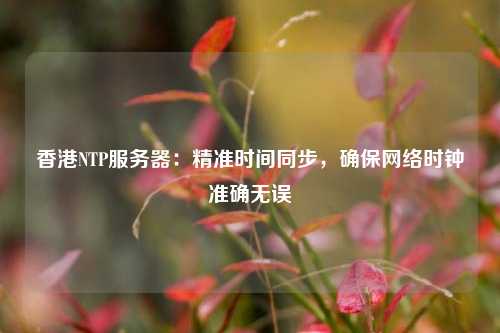 香港NTP服務(wù)器：精準(zhǔn)時間同步，確保網(wǎng)絡(luò)時鐘準(zhǔn)確無誤