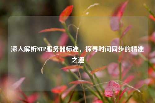深入解析NTP服務器標準，探尋時間同步的精準之道