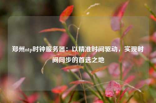 鄭州ntp時鐘服務(wù)器：以精準時間驅(qū)動，實現(xiàn)時間同步的首選之地