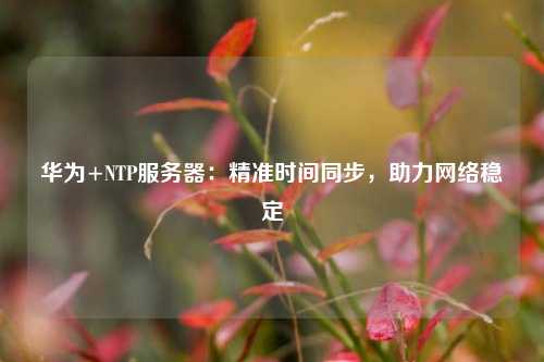 華為+NTP服務器：精準時間同步，助力網絡穩定