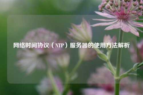 網(wǎng)絡時間協(xié)議（NTP）服務器的使用方法解析
