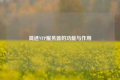 簡(jiǎn)述NTP服務(wù)器的功能與作用