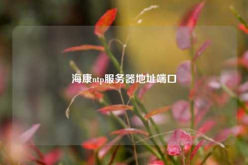 ?？祅tp服務器地址端口